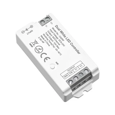2.4G dvigubas baltas LED valdiklis